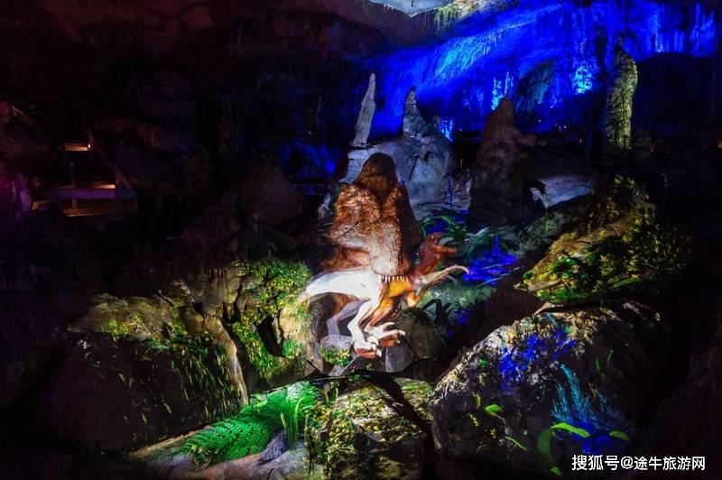 笑脸球的冒险之旅